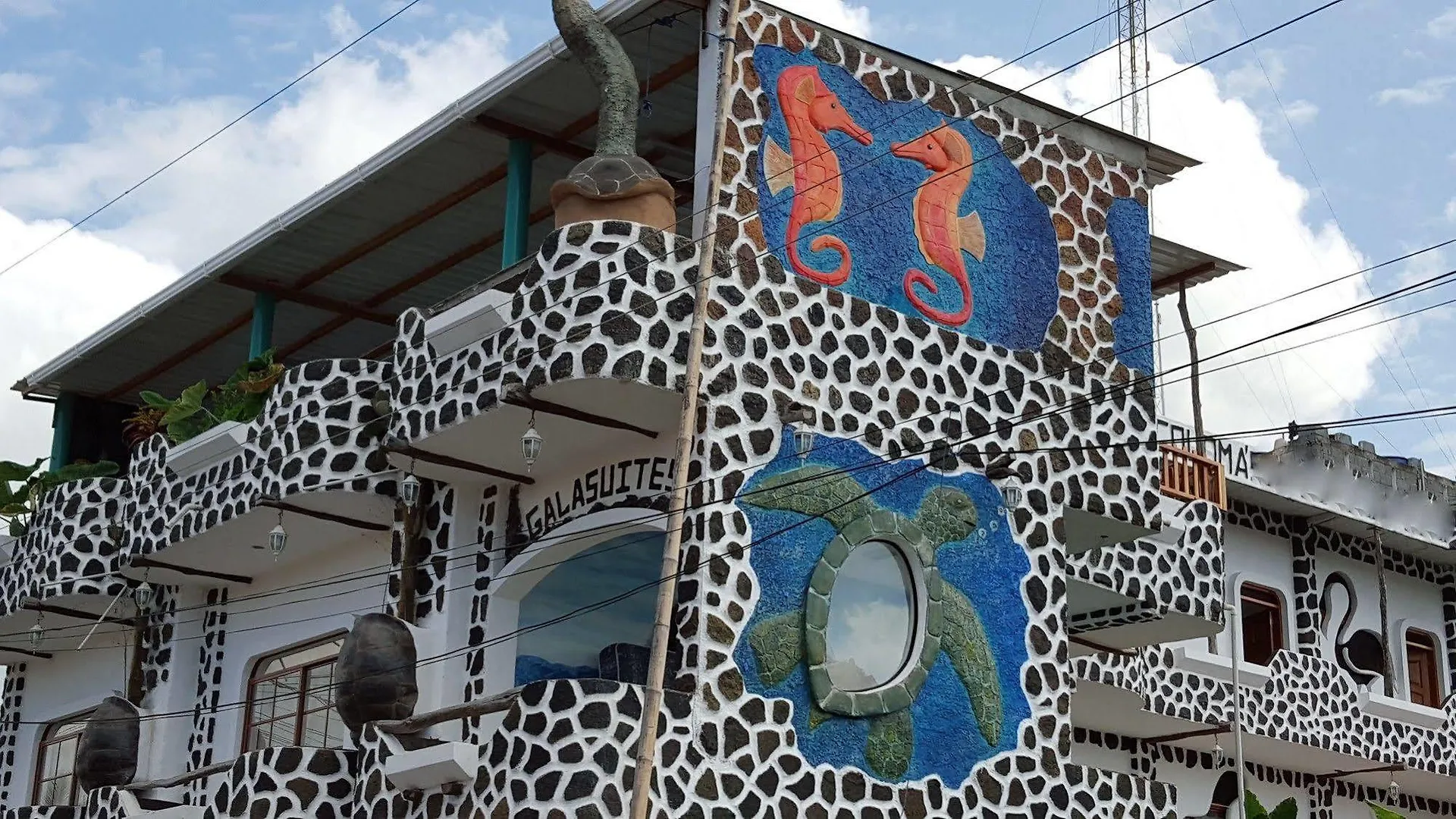 ***  Hotel Coloma Galapagos Puerto Ayora  Ecuador