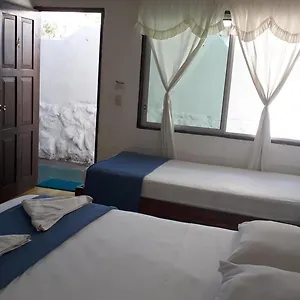 Darwin Guest house